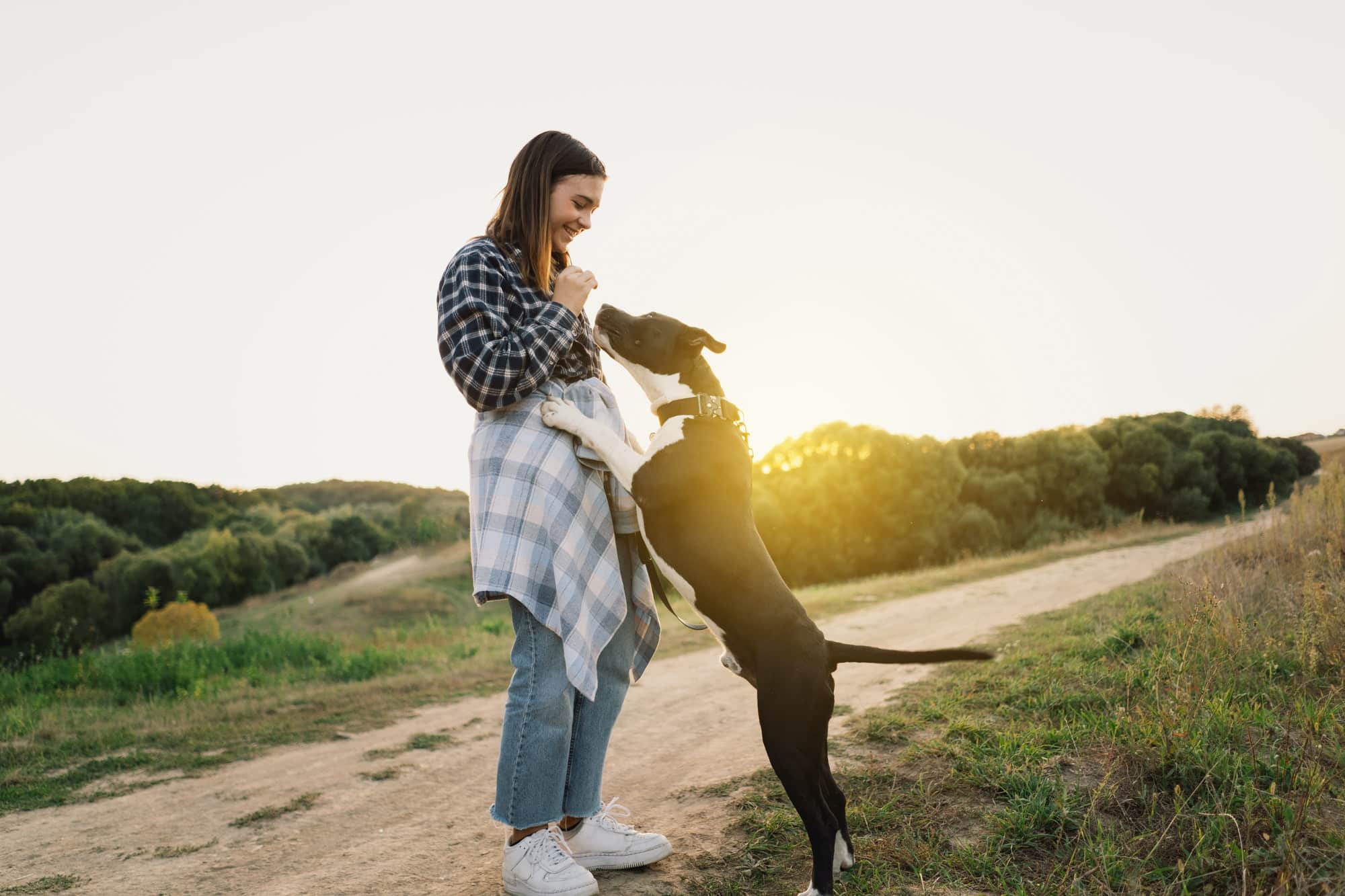 Staffies et Familles : Pourquoi ils sont d’Excellents Chiens de Compagnie