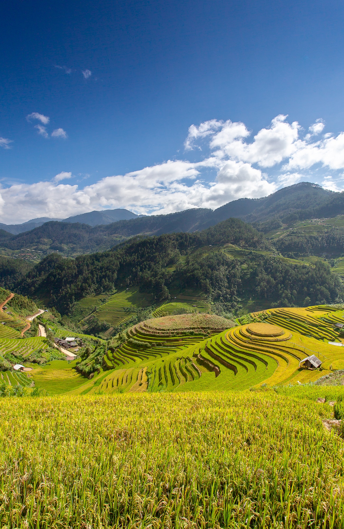 Vietnam Inexploré : des circuits uniques avec notre Agence de voyage